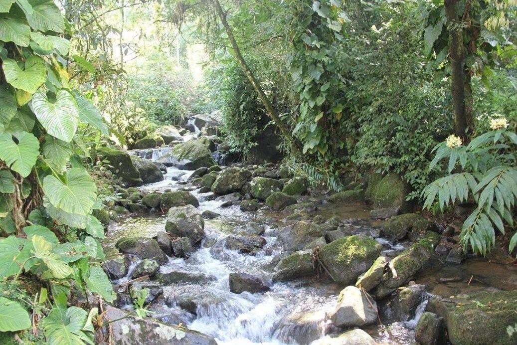 Dingo - Refugio Romantico Em Meio A Natureza Penedo  Dış mekan fotoğraf