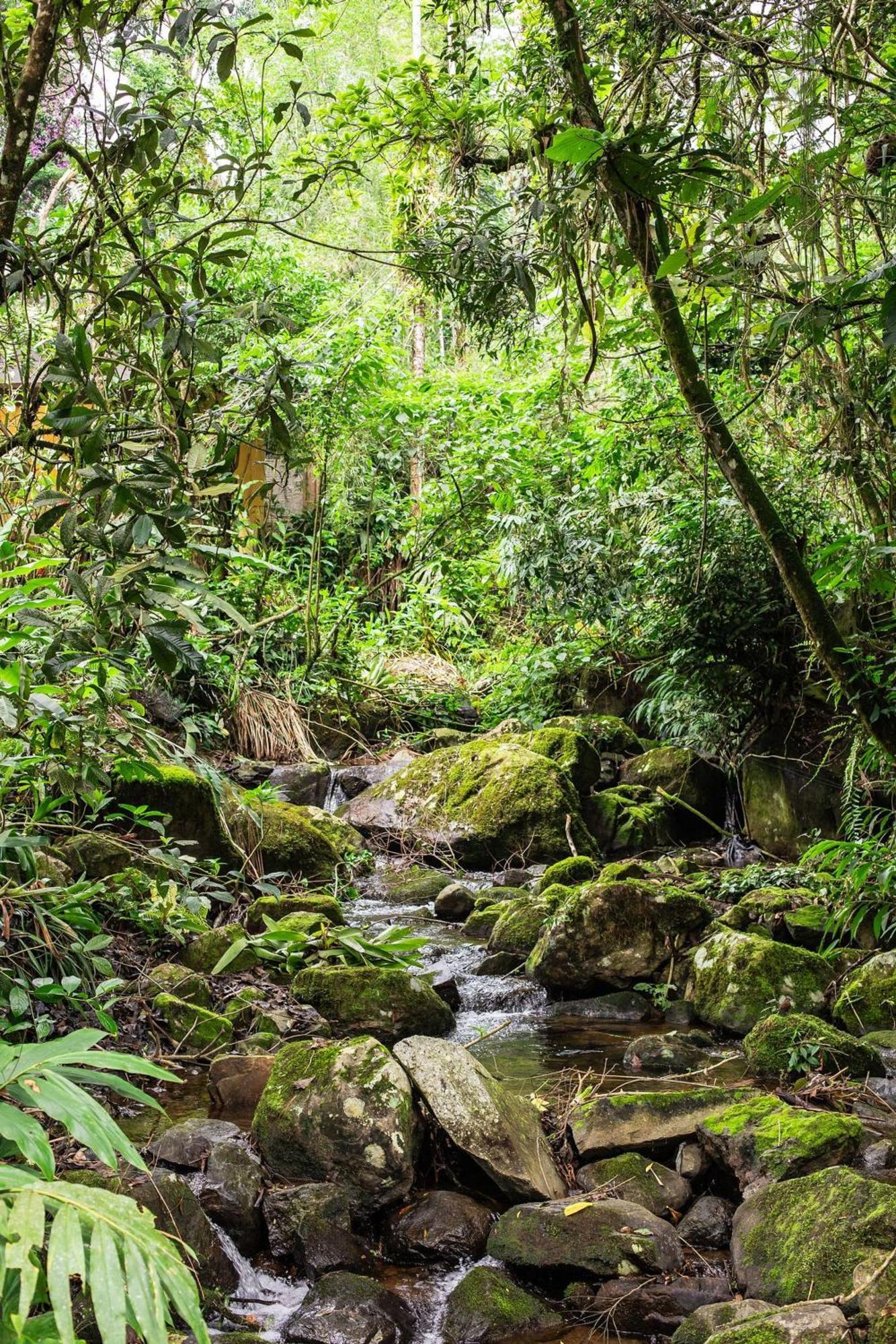 Dingo - Refugio Romantico Em Meio A Natureza Penedo  Dış mekan fotoğraf